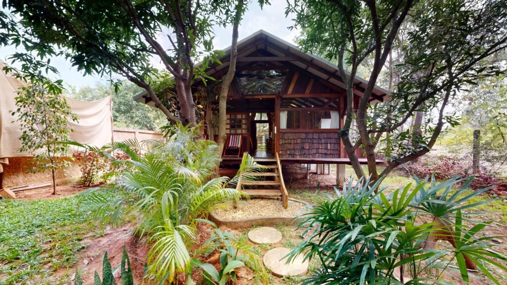 Ext Cabin View fromBackyard